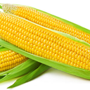 cornabuse avatar