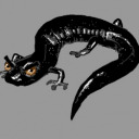 corrupted-salamander avatar