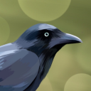 corvidhoarded avatar