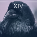 corvidtarot avatar