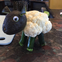 cosima-neigh-haus avatar