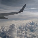 cosmic-carpals avatar