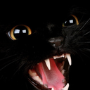 cosmic-cat-eyes avatar