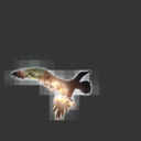 cosmicgull avatar