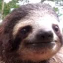 cottonspotten avatar