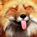 couch-potato621 avatar