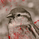 coughingupfeathers1 avatar