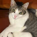 countingallofthestars avatar