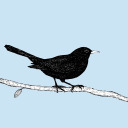 countingblackbirds avatar