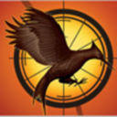 countingdowntocatchingfire-blog avatar