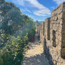 countingprimes avatar