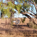 country-living-qld avatar