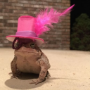 court-of-oleander avatar