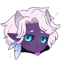 courtsnort-sso avatar