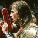 cowboycatdotcom avatar