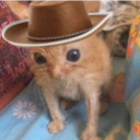 cowboyenjoyer avatar