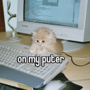 cowboyfanclub avatar