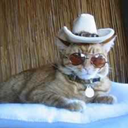 cowboypdf avatar