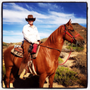 cowgirlheartaz avatar