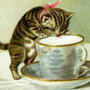 cozykittendrinkingtea avatar