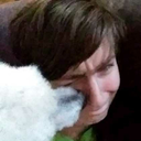 crabbshaveabs avatar