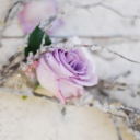 crackedcrystals avatar