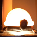 crash-n-slash avatar