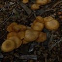 crashouts-of-a-uni-student avatar