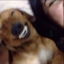 crazedobsessedfreak avatar