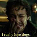 crazy-dog-dude avatar