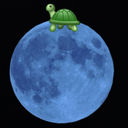 crazyturtle-on-a-bluemoon avatar