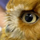 crc-rehab-blog avatar