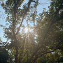 cre8ivegeniuss avatar