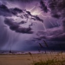 creamy-dreams avatar