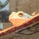 creaturepost-emporium avatar