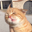 creatureseeker avatar