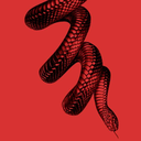 crescentvirgin avatar