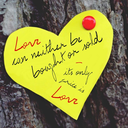 crestfallen-eccentric avatar