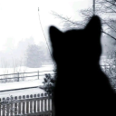 criadebelzebu avatar