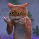 cricketsintheceiling avatar