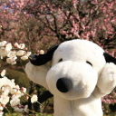 criminallycute avatar