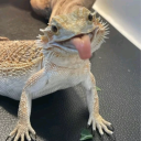 criminallyemily avatar