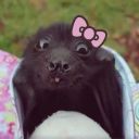 crimsonsands444 avatar