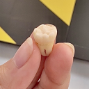 crimsontyph8n avatar