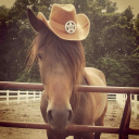 crispycatras-jailcell avatar