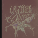 crittercorner333 avatar