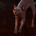 crookeddoodles avatar