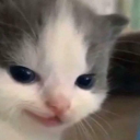 crookedpaperwhispers avatar