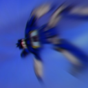 crookedwiings avatar