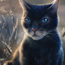 crowfeather-appreciation-club avatar